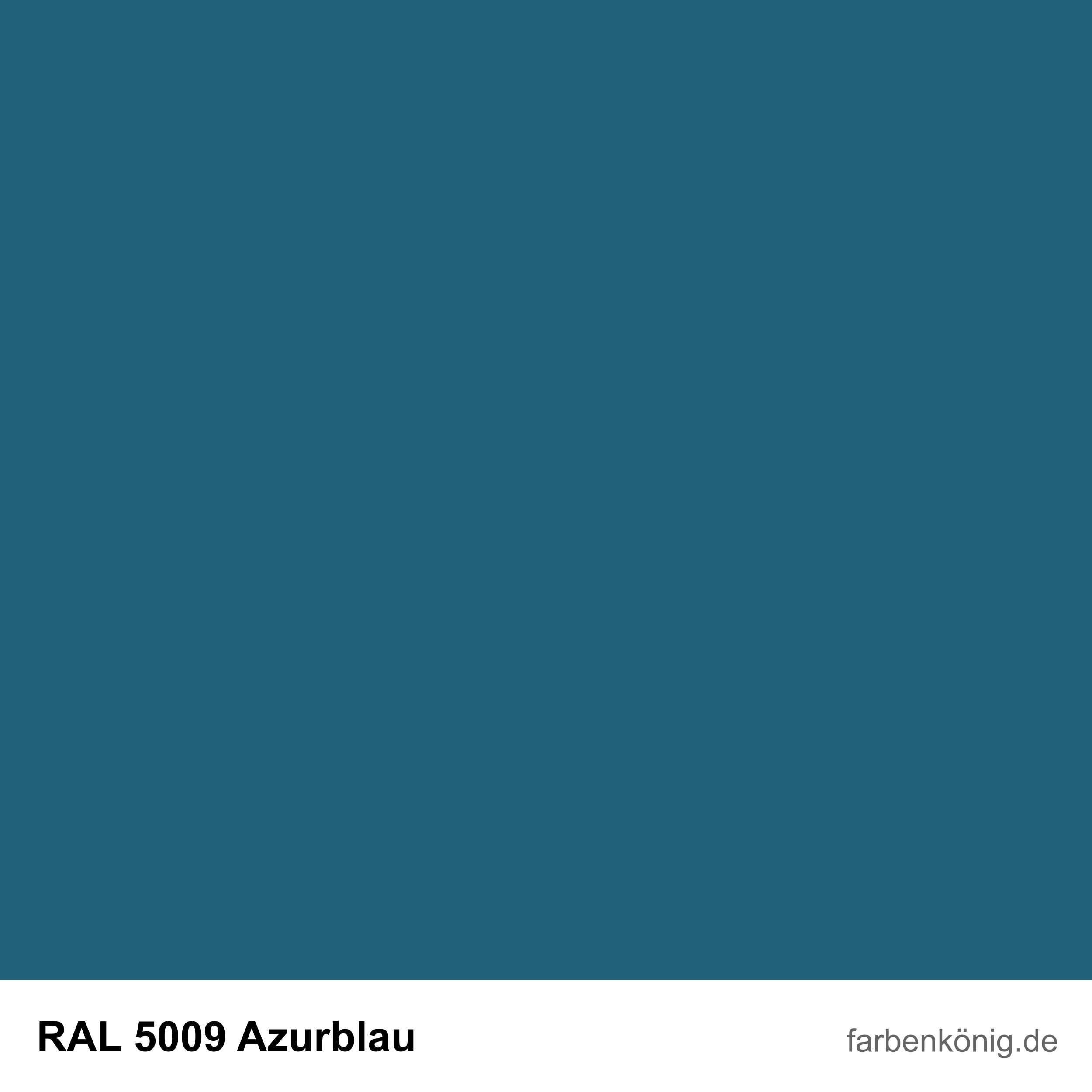 RAL5009
