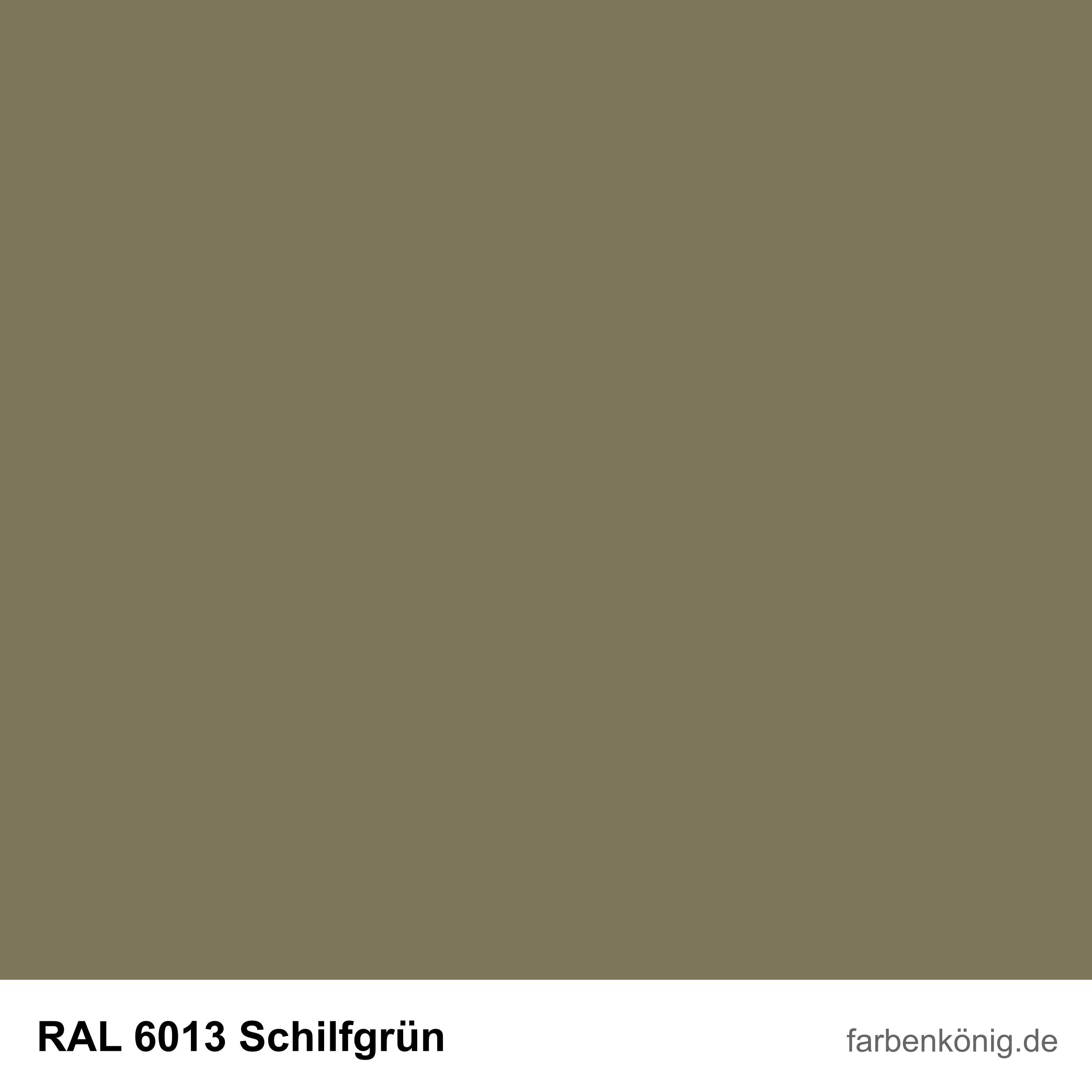 RAL6013