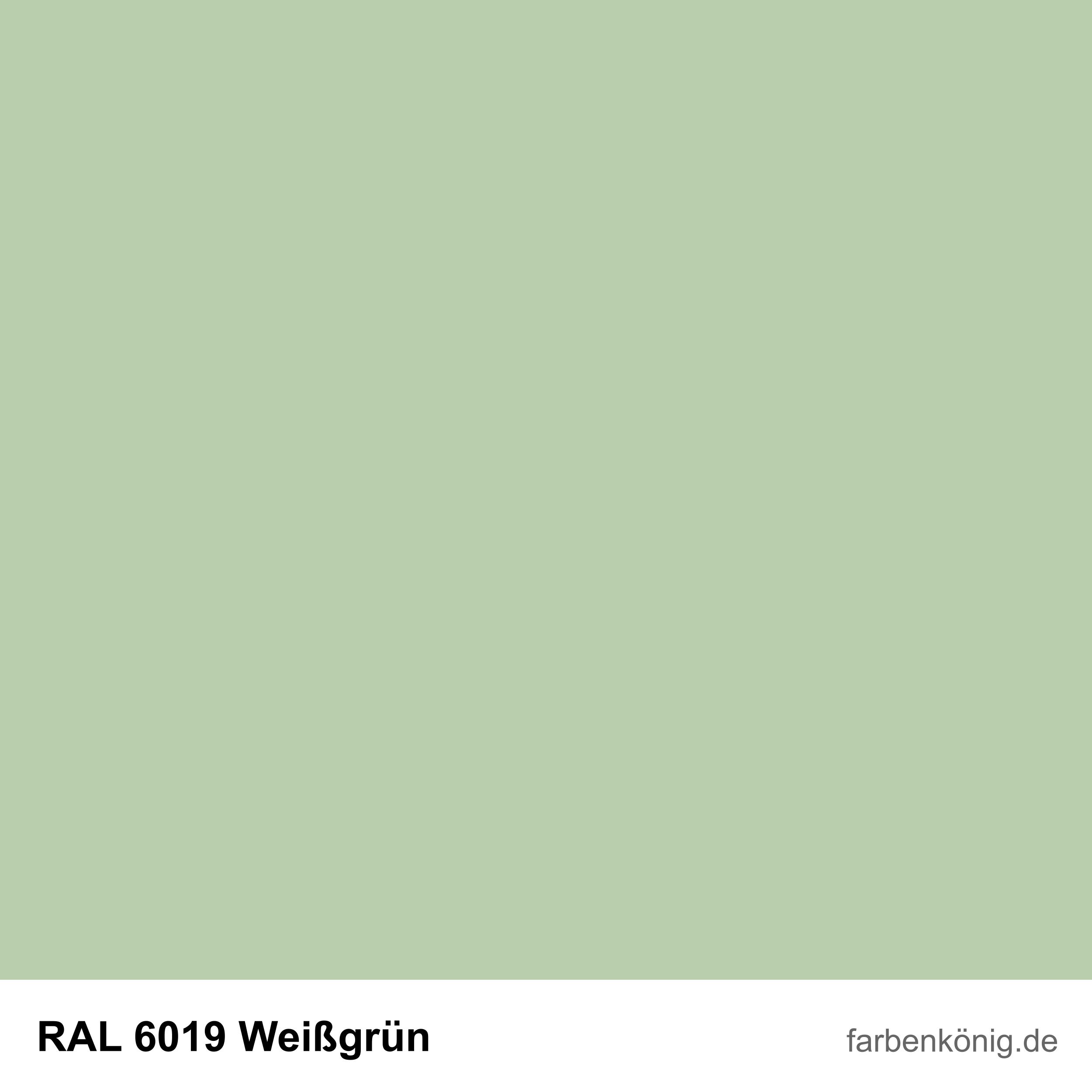RAL6019