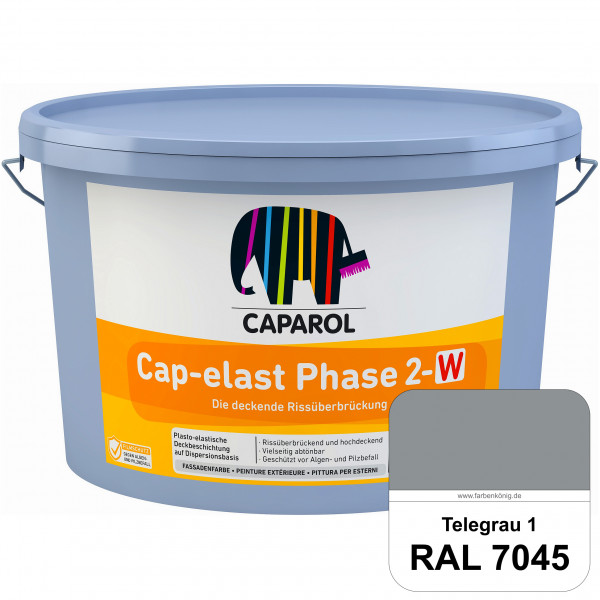 Cap-elast Phase 2-W (RAL 7045 Telegrau 1) elastisches Beschichtungssystem für die Sanierung gerissen