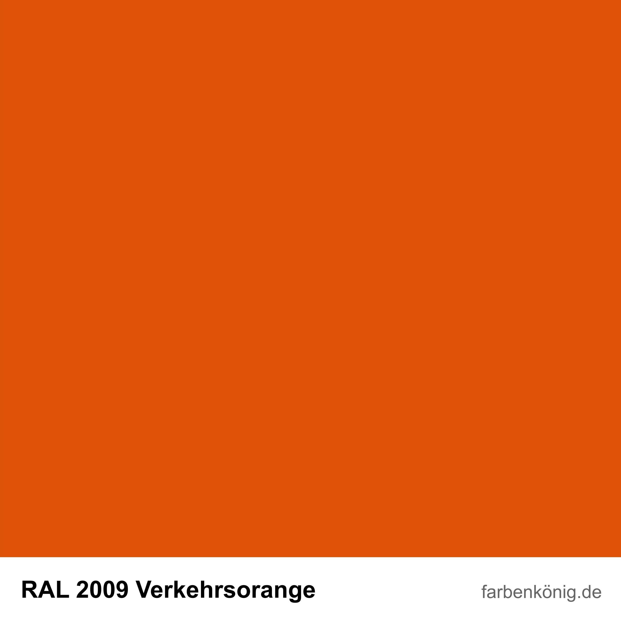 RAL2009