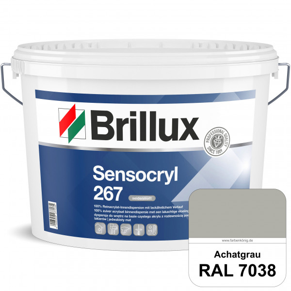 Sensocryl ELF 267 (RAL 7038 Achatgrau) seidenmatt hochwertige Reinacrylat-Innendispersion für Artzpr