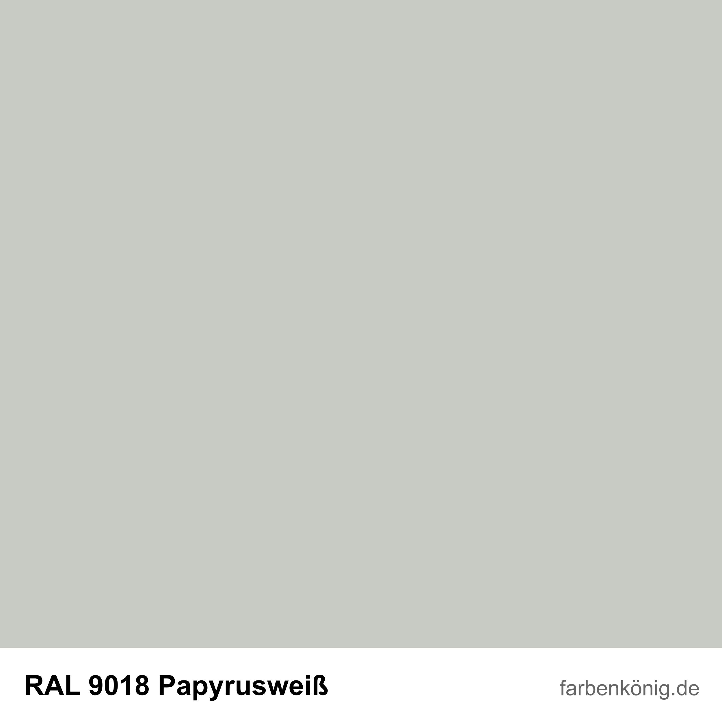 RAL9018