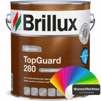 TopGuard 280 (Wunschfarbton)