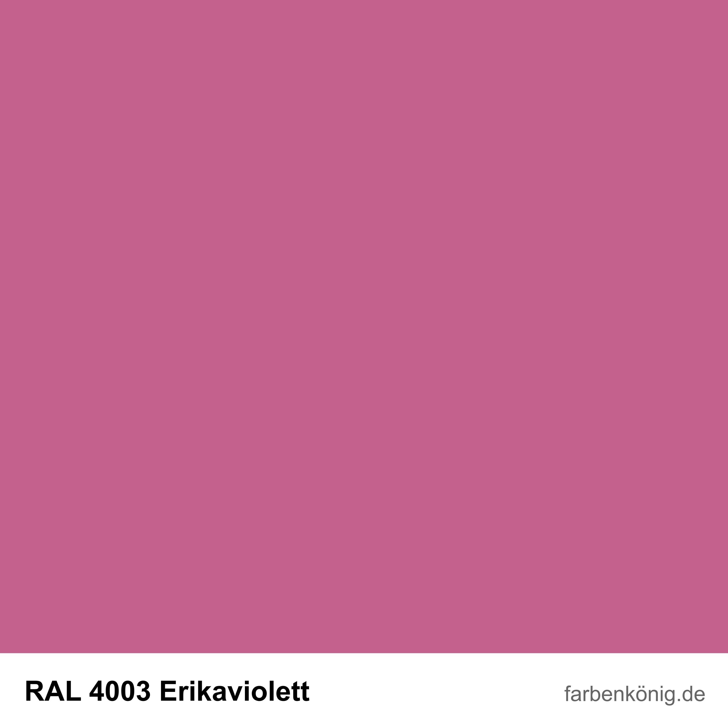 RAL4003