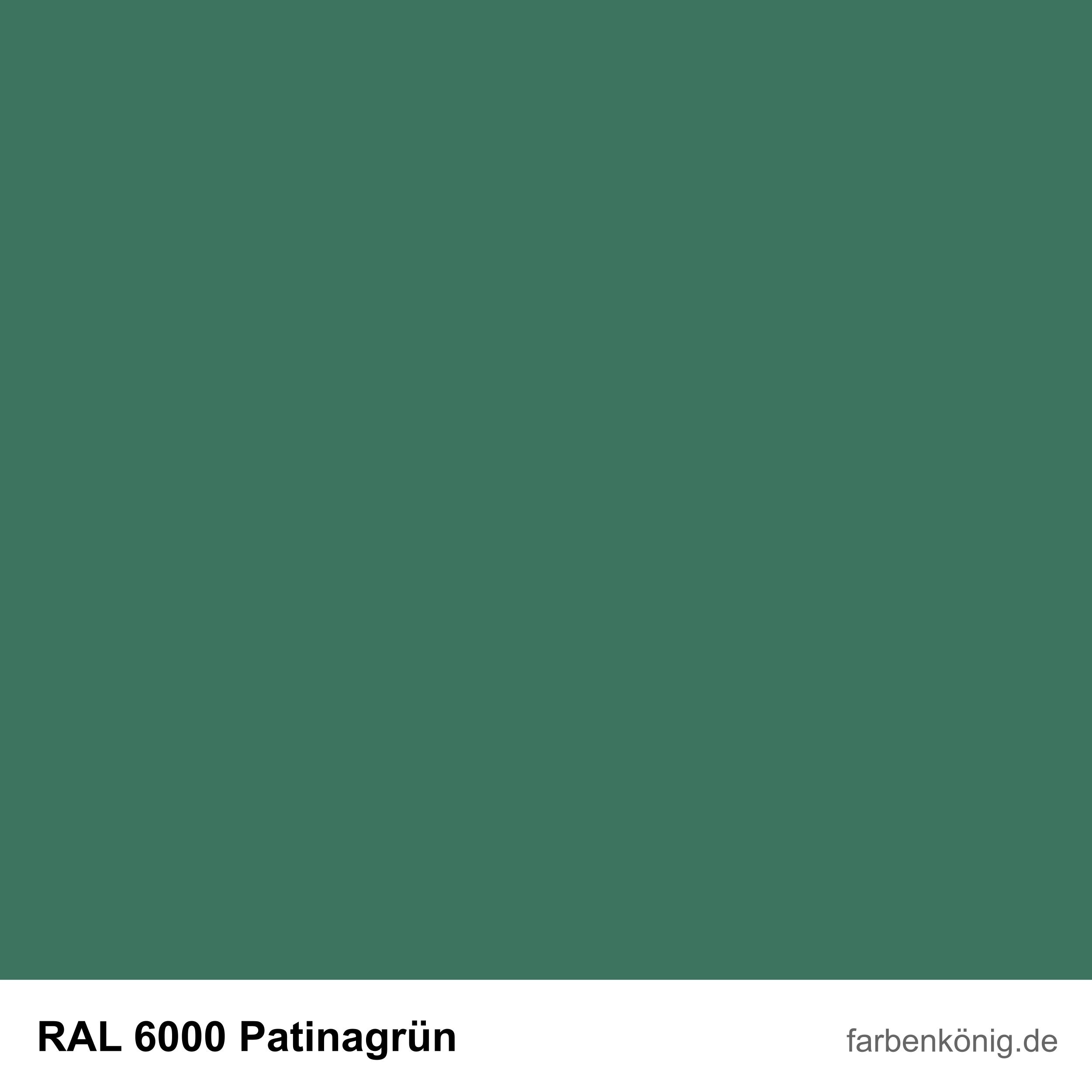 RAL6000