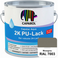 Capalac Aqua 2K PU-Lack (RAL 7003 Moosgrau) chemisch und mechanisch widerstandsfähige Lackierungen