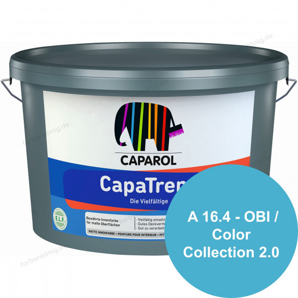 CapaTrend (B-Ware) - 2,5 Liter (A 16.4 - OBI Color Collection 2.0)