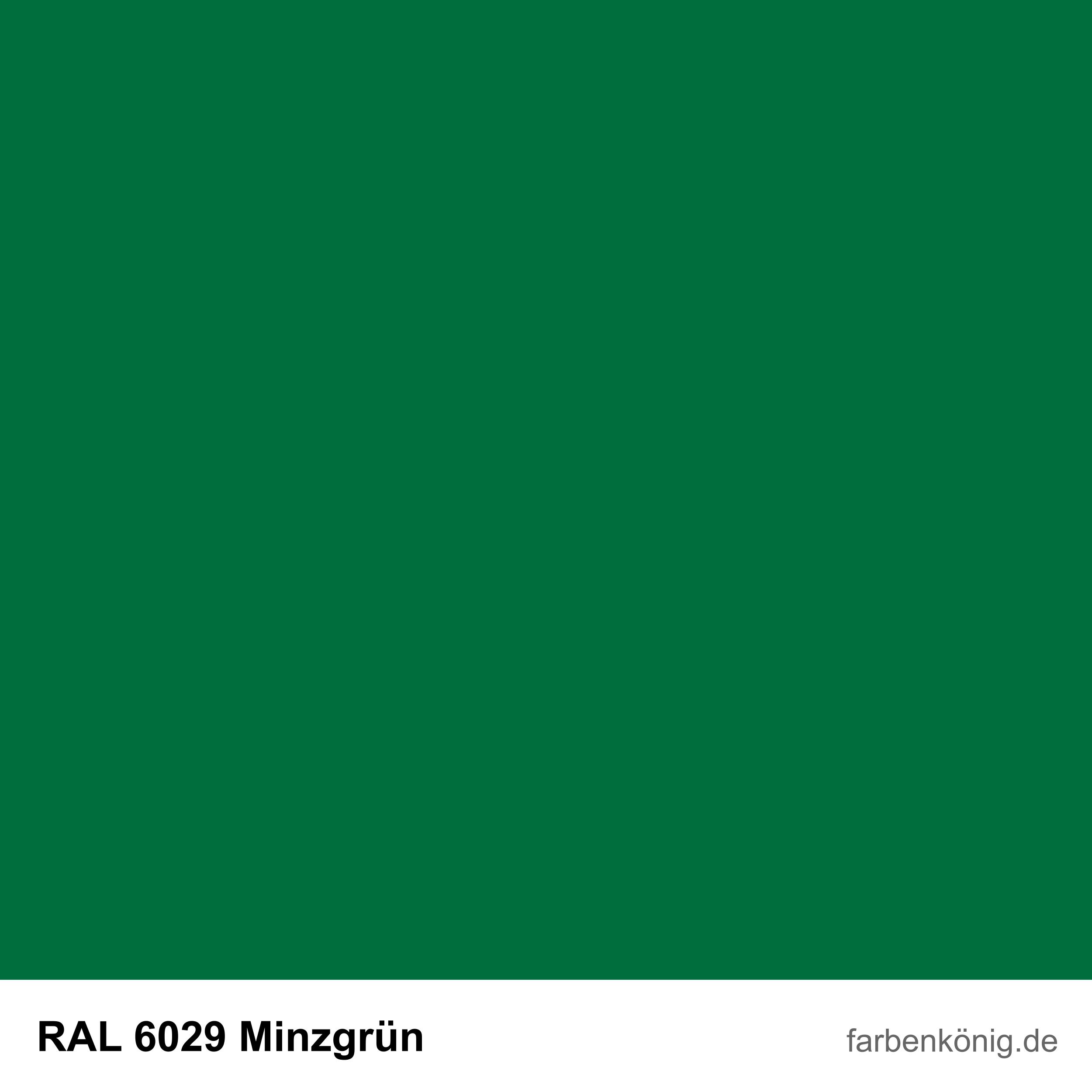 RAL6029